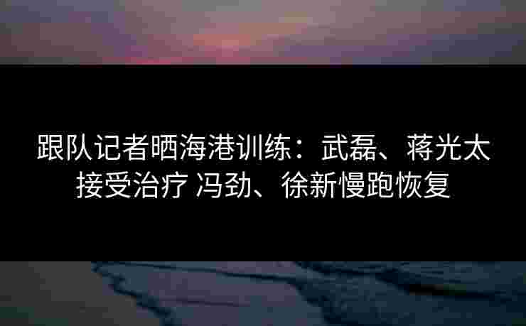 跟队记者晒海港训练：武磊、蒋光太接受治疗 冯劲、徐新慢跑恢复